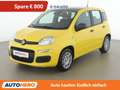 Fiat Panda 1.0 Mild-Hybrid Pandina Icon Gelb - thumbnail 1