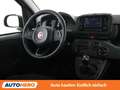 Fiat Panda 1.0 Mild-Hybrid Pandina Icon Gelb - thumbnail 13