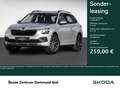 Skoda Kamiq 1.0TSI DSG Tour AHK ACC PDC RFK Silber - thumbnail 1