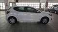 Dacia Sandero Streetway 1.0 TCe ECO-G Expression Weiß - thumbnail 4