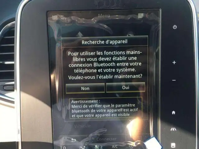 Renault Scenic view 13