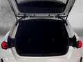 BMW 120 LIMO F70 *M Sport Pro* Automatik 18''NAVI KAMERA L Wit - thumbnail 15