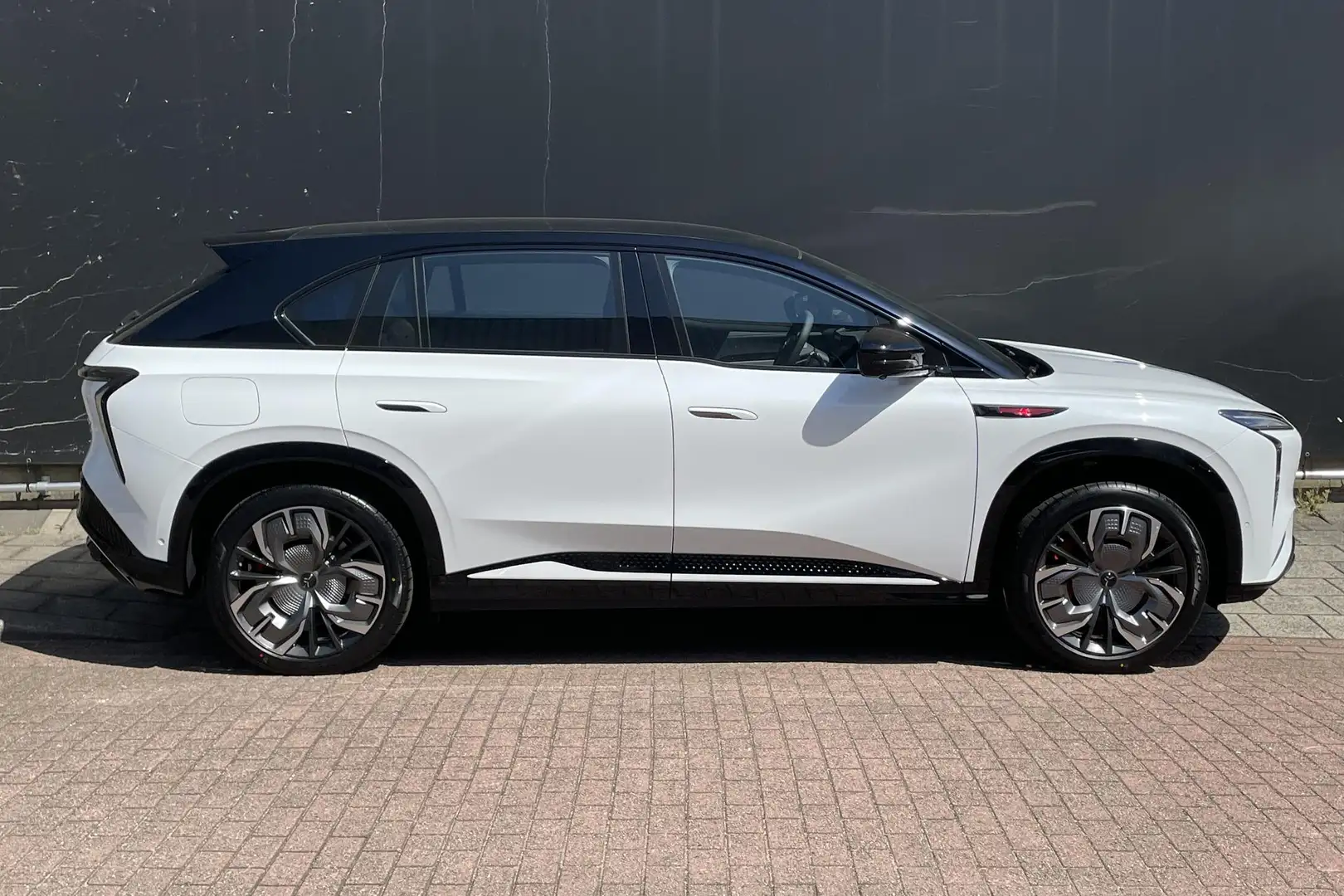 Hongqi EHS7 E-HS7 Long Range Launch Edition 111kWh 21"LM | Pan Blanco - 2