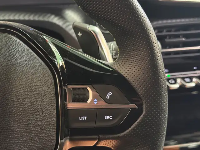 Peugeot 2008 view 25