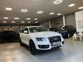 Audi Q5 2.0 TDI 170cv quattro S tronic Blanco - thumbnail 9