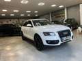 Audi Q5 2.0 TDI 170cv quattro S tronic Blanco - thumbnail 11