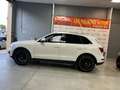 Audi Q5 2.0 TDI 170cv quattro S tronic Blanco - thumbnail 37