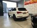 Audi Q5 2.0 TDI 170cv quattro S tronic Blanco - thumbnail 6