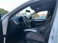 Audi Q5 2.0 TDI 170cv quattro S tronic Blanco - thumbnail 33