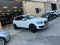 Audi Q5 2.0 TDI 170cv quattro S tronic Blanco - thumbnail 20
