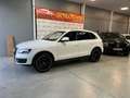 Audi Q5 2.0 TDI 170cv quattro S tronic Blanco - thumbnail 5