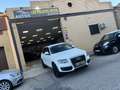 Audi Q5 2.0 TDI 170cv quattro S tronic Blanco - thumbnail 22