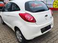 Ford Ka/Ka+ Trend * 1. Hand* Klima* Startstop* UVM Weiß - thumbnail 10