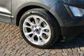Ford EcoSport EcoSport 1.0 Titanium  UNICO PROPRIETARIO Grigio - thumbnail 8