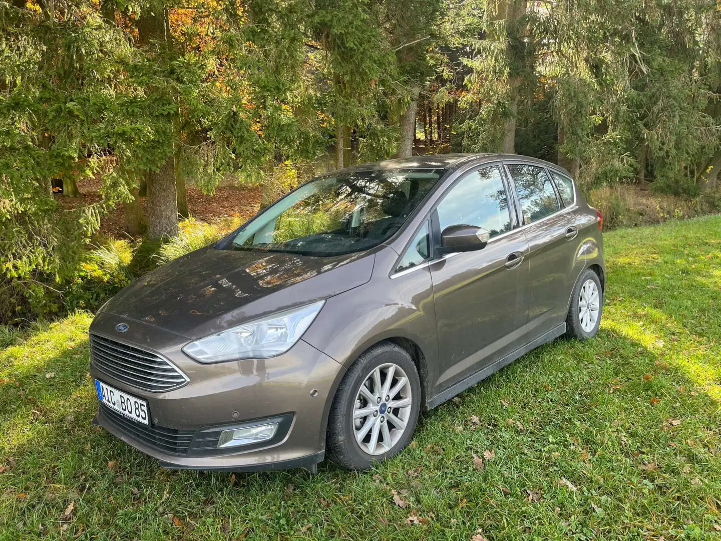 Ford C-Max Ford C-Max Braun - 2