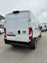 Fiat Ducato Maxi DoKa L3H2 140 MT, Car Play, Kamera etc Weiß - thumbnail 4