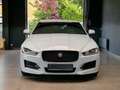 Jaguar XE R-Sport*Navi*Meridian*Kamera* Blanco - thumbnail 6