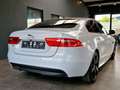 Jaguar XE R-Sport*Navi*Meridian*Kamera* Blanco - thumbnail 11