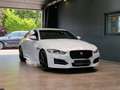 Jaguar XE R-Sport*Navi*Meridian*Kamera* Blanco - thumbnail 1