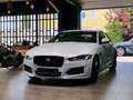 Jaguar XE R-Sport*Navi*Meridian*Kamera* Blanco - thumbnail 3