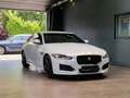 Jaguar XE R-Sport*Navi*Meridian*Kamera* Blanco - thumbnail 5