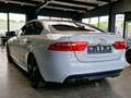 Jaguar XE R-Sport*Navi*Meridian*Kamera* Blanco - thumbnail 9