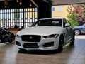 Jaguar XE R-Sport*Navi*Meridian*Kamera* Blanco - thumbnail 7