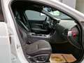 Jaguar XE R-Sport*Navi*Meridian*Kamera* Blanco - thumbnail 20