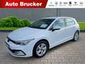 Volkswagen Golf VIII Life 2.0 TDI+Navi+Alufelgen+Parksensoren Weiß - thumbnail 1