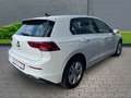 Volkswagen Golf VIII Life 2.0 TDI+Navi+Alufelgen+Parksensoren Weiß - thumbnail 4