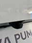 Ford Puma 1.0 ecoboost h ST-Line X - 77023 PROMO TASSO 0% Bianco - thumbnail 7