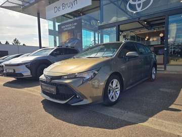 Dynamic Plus