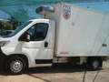 Citroen Jumper FRIGORIFERO     -20 GRADI Bianco - thumbnail 3