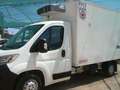 Citroen Jumper FRIGORIFERO     -20 GRADI Bianco - thumbnail 2