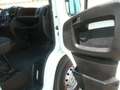 Citroen Jumper FRIGORIFERO     -20 GRADI Bianco - thumbnail 8