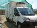 Citroen Jumper FRIGORIFERO     -20 GRADI Bianco - thumbnail 1