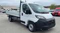 Peugeot Boxer CASSONE  L4 435 2.2 BlueHDi 140 Bianco - thumbnail 3