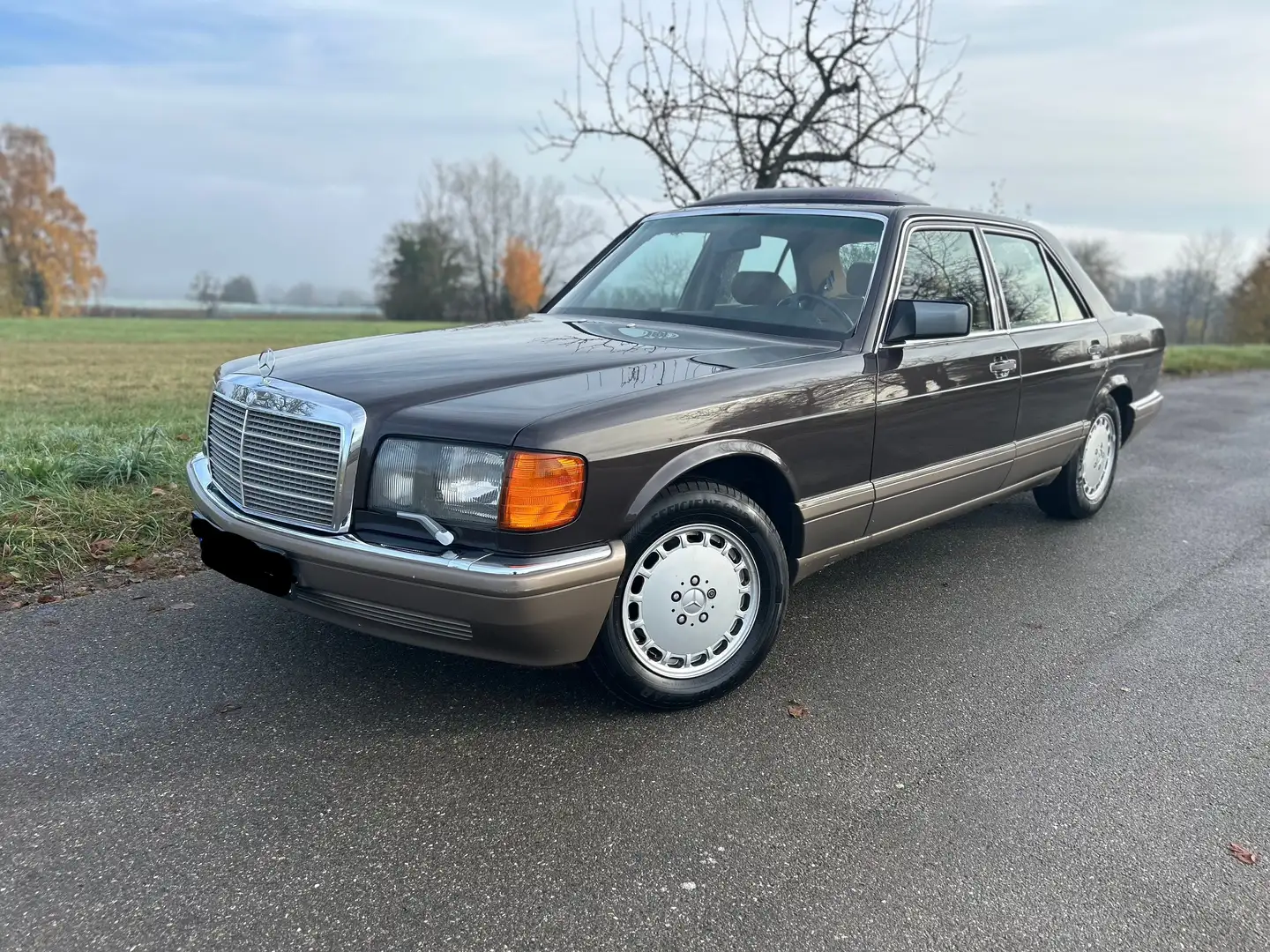 Mercedes-Benz S 500 500 SE Hnědá - 1