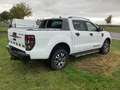 Ford Ranger Wildtrak Doppelkabine 4x4, AHK, GJR Weiß - thumbnail 3