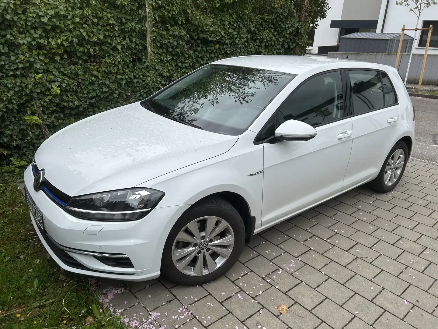 Volkswagen Golf Comfortline BlueMotion TGI Weiß - 1