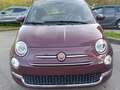 Fiat 500 1.0 hybrid Dolcevita 70cv Rouge - thumbnail 14