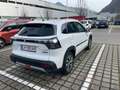 Suzuki S-Cross S-Cross 1,5 Strong Hybrid ALLGRIP 6AGS flash Weiß - thumbnail 1