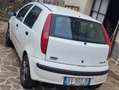 Fiat Punto Punto 5p 1.2 Verve Fehér - thumbnail 8