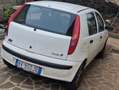 Fiat Punto Punto 5p 1.2 Verve Bianco - thumbnail 2