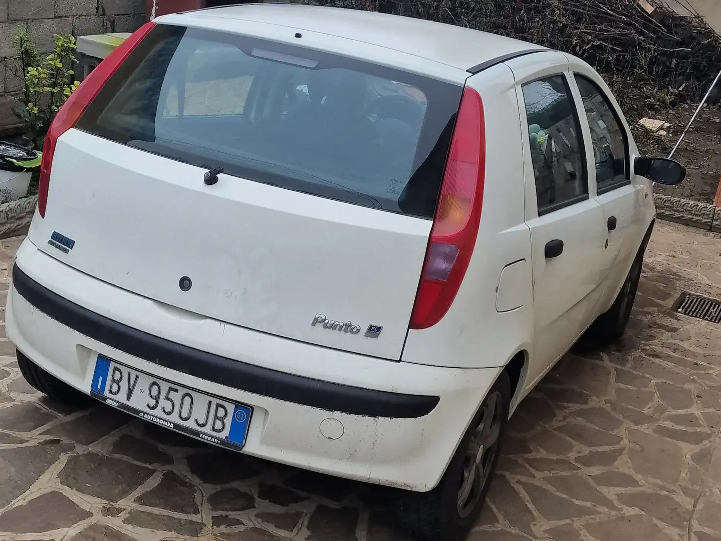 Fiat Punto Punto 5p 1.2 Verve Biały - 2