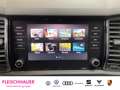 Skoda Kodiaq 2.0 TDI Ambition Navi Sperrdiff. Apple CarPlay And Blau - thumbnail 12