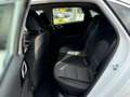 Kia Ceed / cee'd 1.5 T-GDI Vision DCT7 Navi Komfort Klima Navi Weiß - thumbnail 9