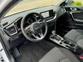 Kia Ceed / cee'd 1.5 T-GDI Vision DCT7 Navi Komfort Klima Navi Weiß - thumbnail 7