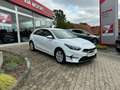 Kia Ceed / cee'd 1.5 T-GDI Vision DCT7 Navi Komfort Klima Navi Weiß - thumbnail 3