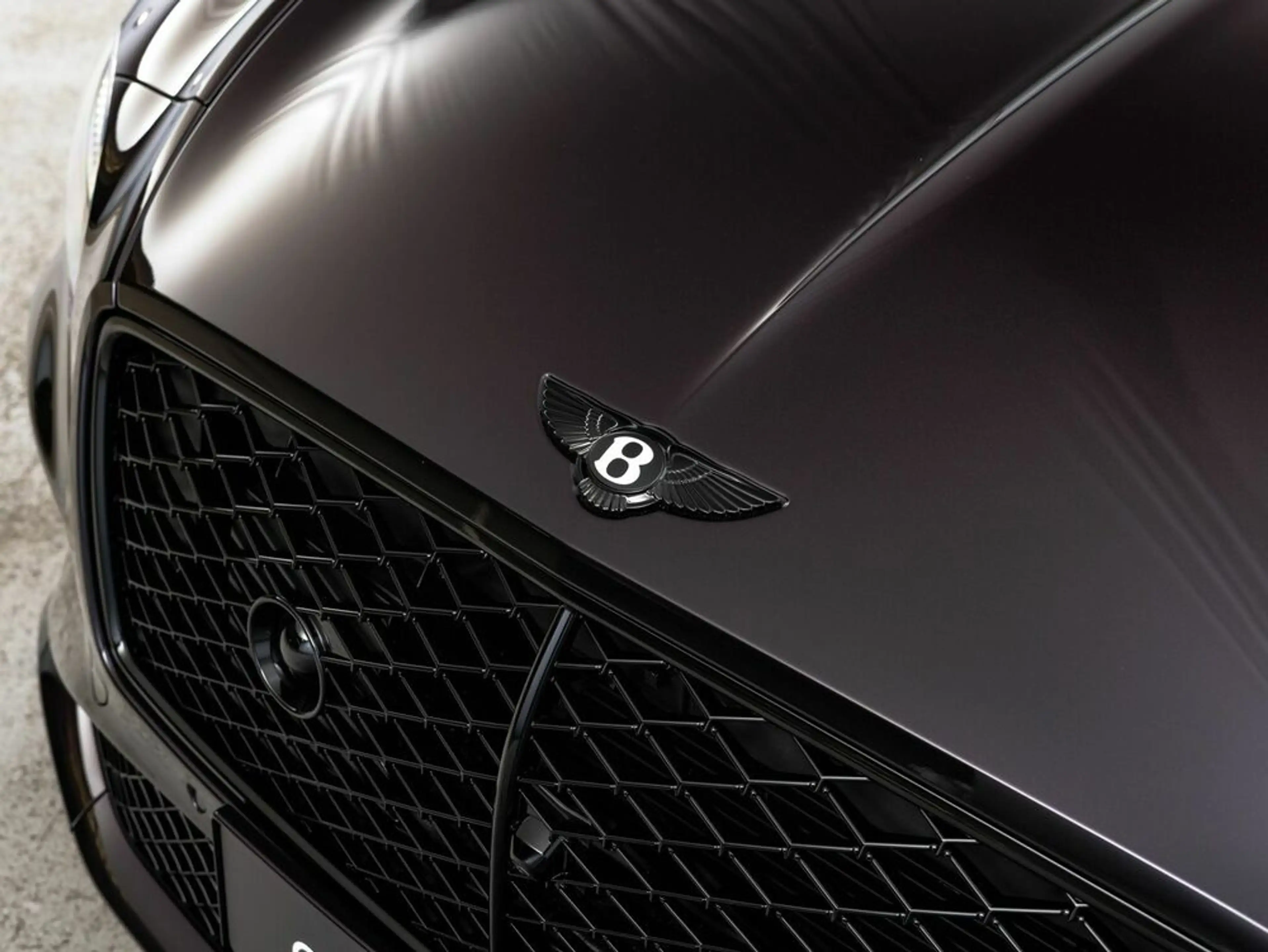 Bentley Continental GT Speed Blackline | Damson | Carbon — photo 11